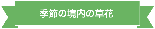 季節の境内の草花