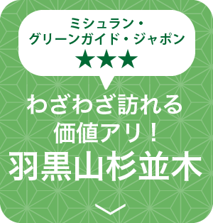 わざわざ訪れる価値アリ！羽黒山杉並木