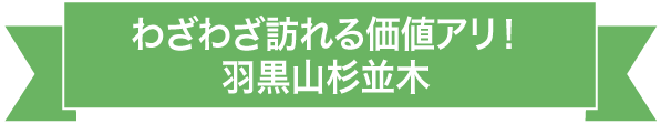 わざわざ訪れる価値アリ！羽黒山杉並木